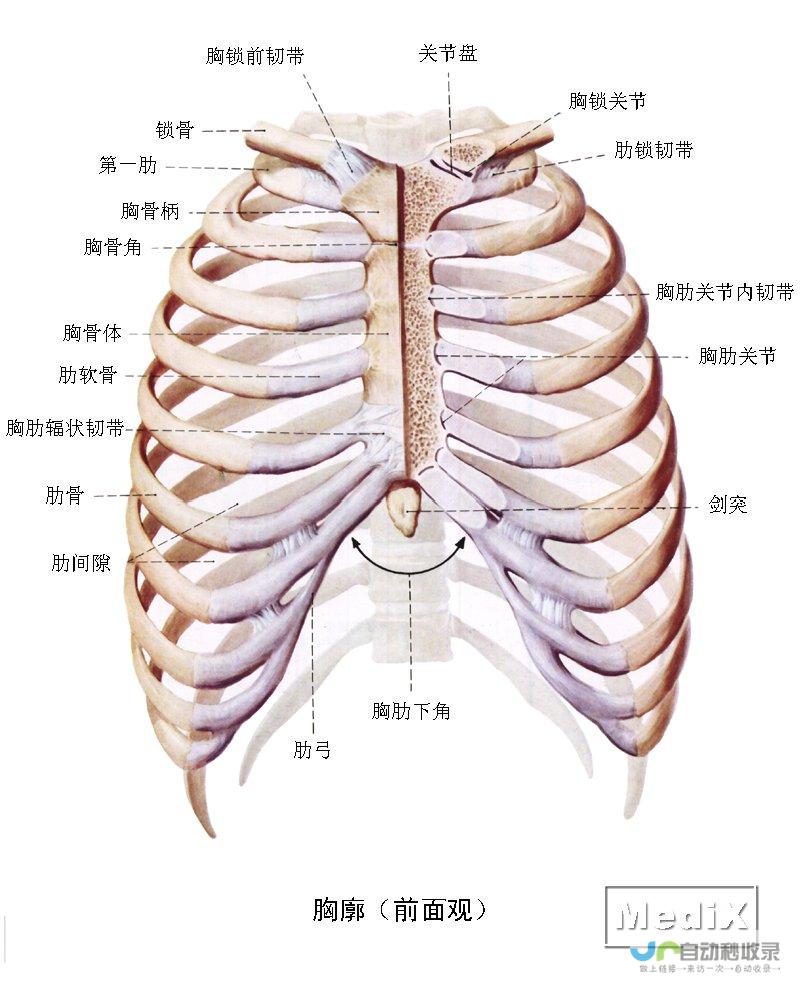 最新骨戒地图排行及刷新技巧全解析