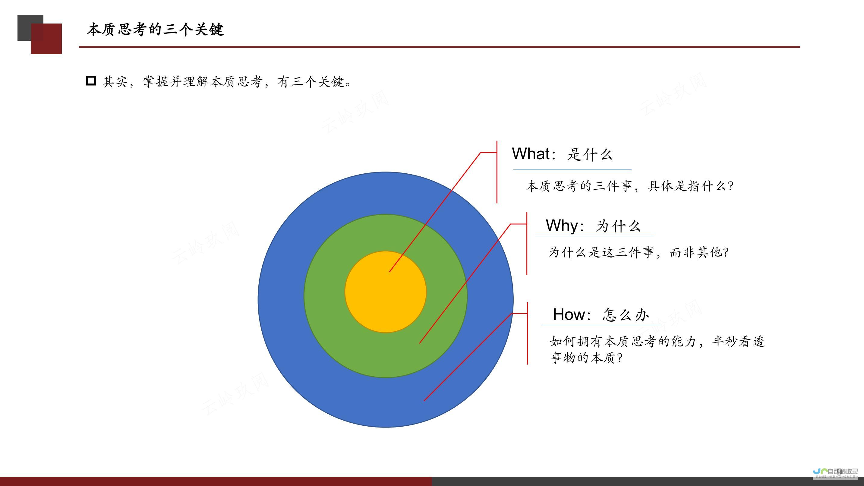 探究背后的真实目的与深层原因