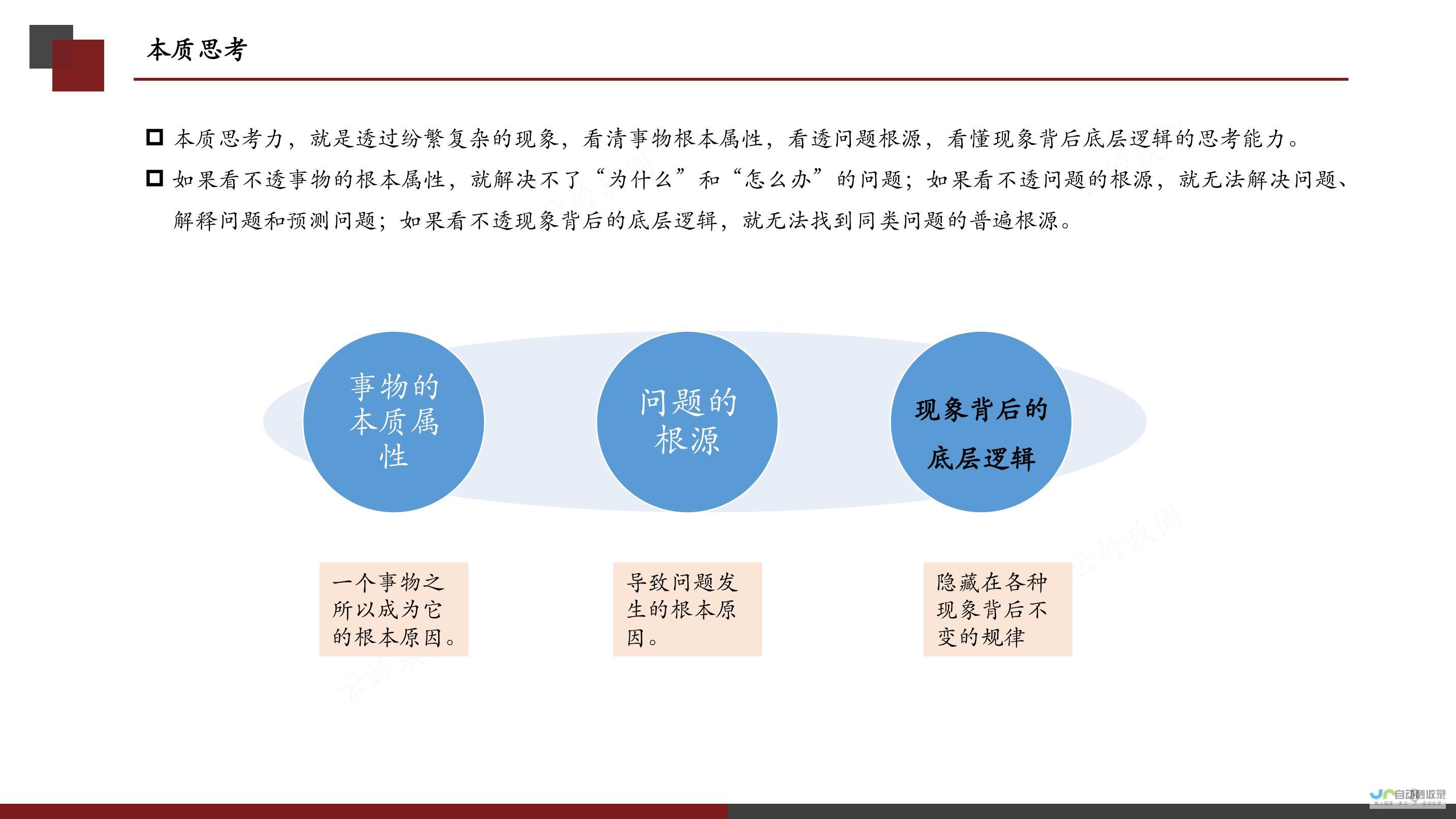 探究背后的深层因素与影响