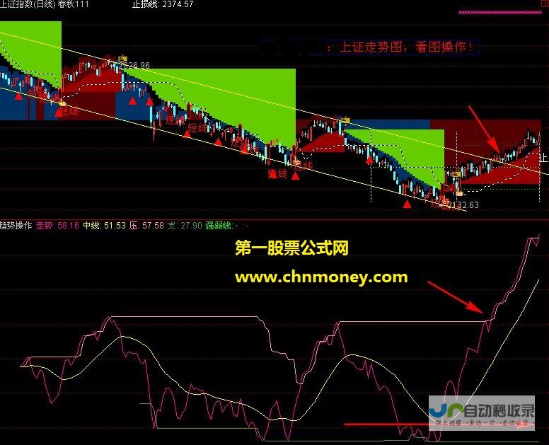 亮点与趋势分析 最新排名