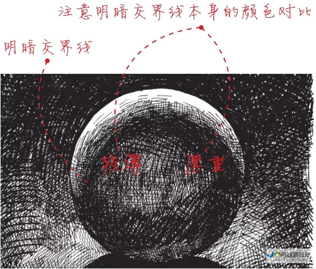 光影交织中的探索与追寻