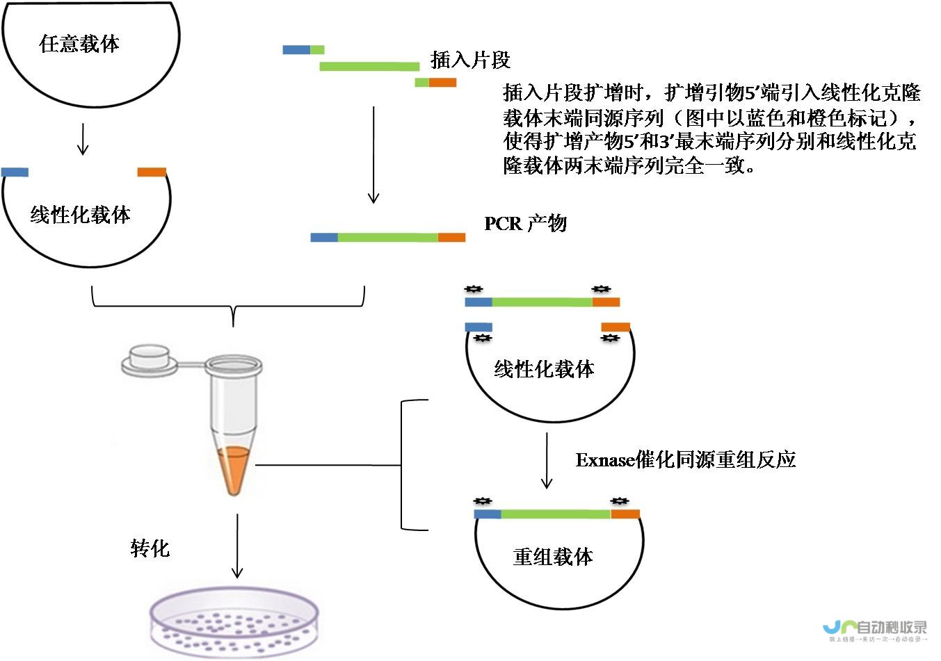 突破四十万大关