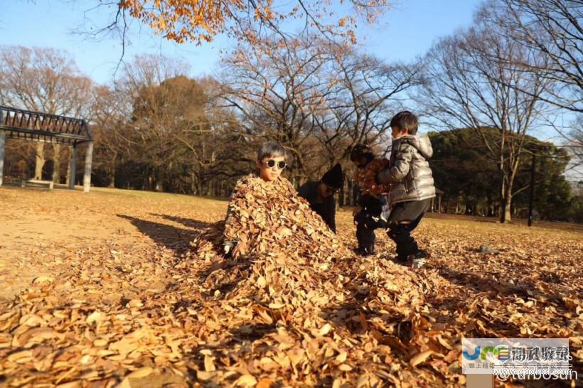 揭秘2020年11月份限行时间表