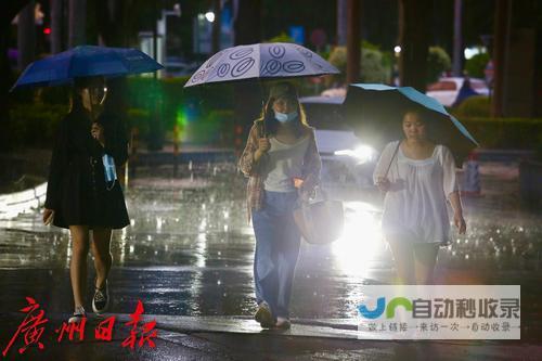 大风暴雨天气如何保护小鸡