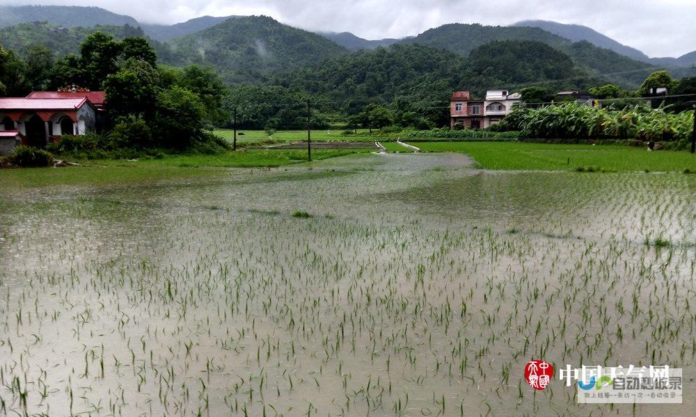 防城天气预报查询助你做好生活规划 实时掌握天气动态