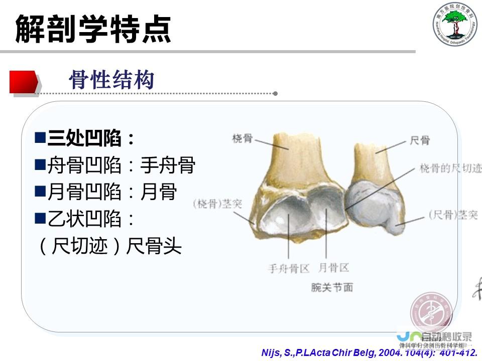 分段游成为乙巳蛇年的热门趋势 春节出游新选择