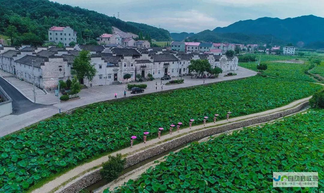 浙江诸暨明天气温