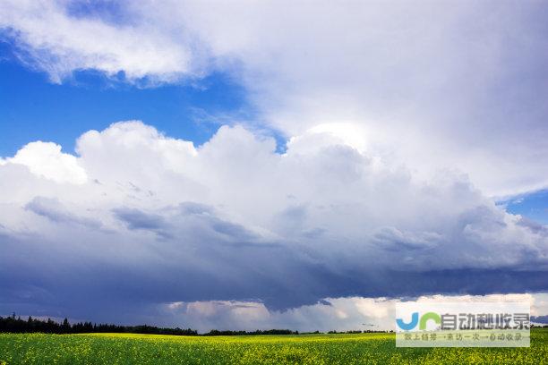 降雨 风力全面解析 最新气象动态 温度