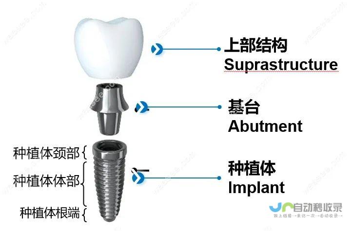 快速响应修复补丁发布 针对玩家困扰