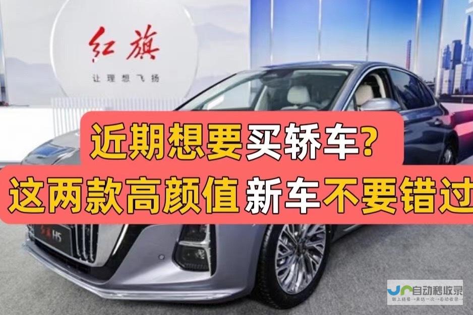 热门车型一网打尽