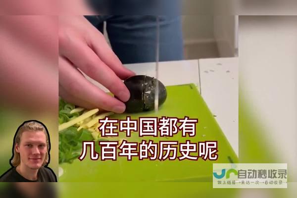 老外融入中国传统佳节 感受非遗独特魅力