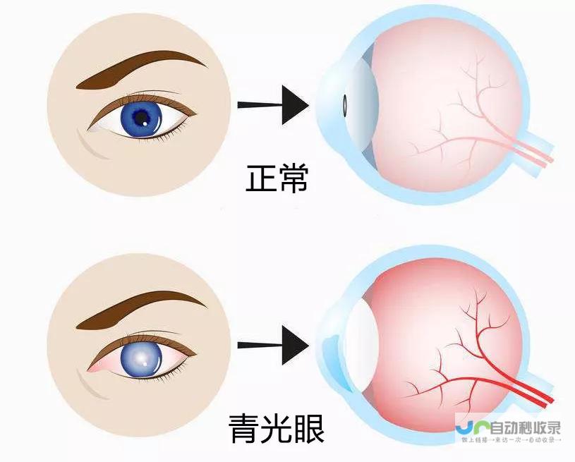 揭秘年轻人满足感的来源 38㎡小窝装修指南