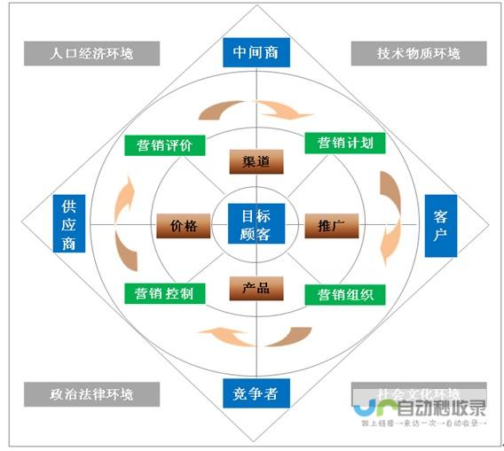 策略分析与实施路径