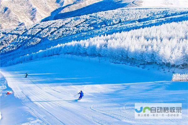 1.冰雪旅游的兴起与趋势