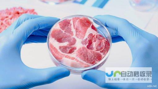 人造培育肉企业Meatly推出新款狗粮