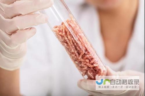 人造肉在狗粮中广泛应用 科技革新引领宠物食品领域