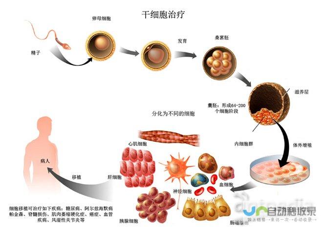 移植教程与游戏体验分享