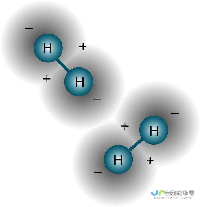 标签分割