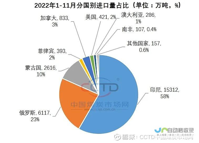 进口限制对印度的影响