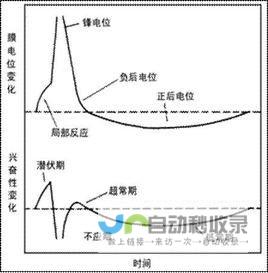 双方需要共同应对全球性挑战