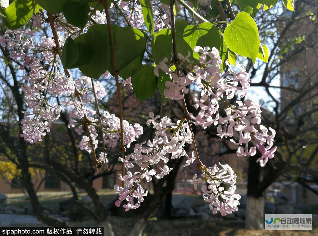 4月无直面会传言令人失望 业内热议