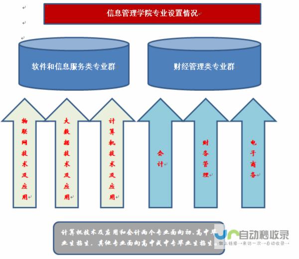 全新专业设置与未来发展蓝图揭晓