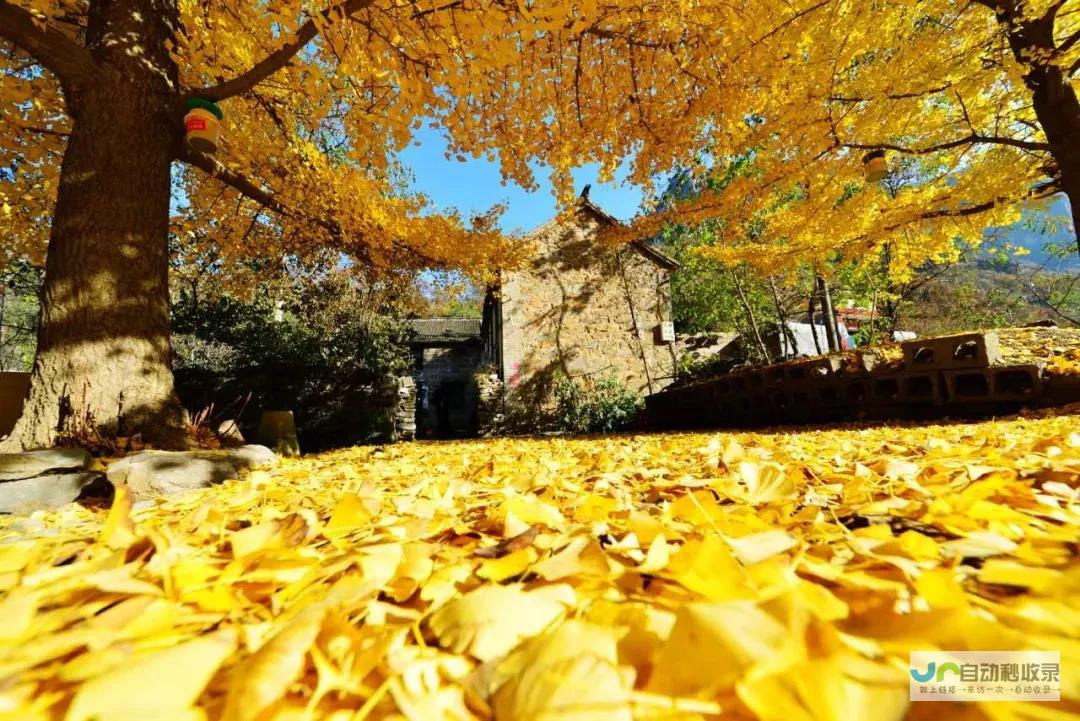 秋风岭天气预报一周