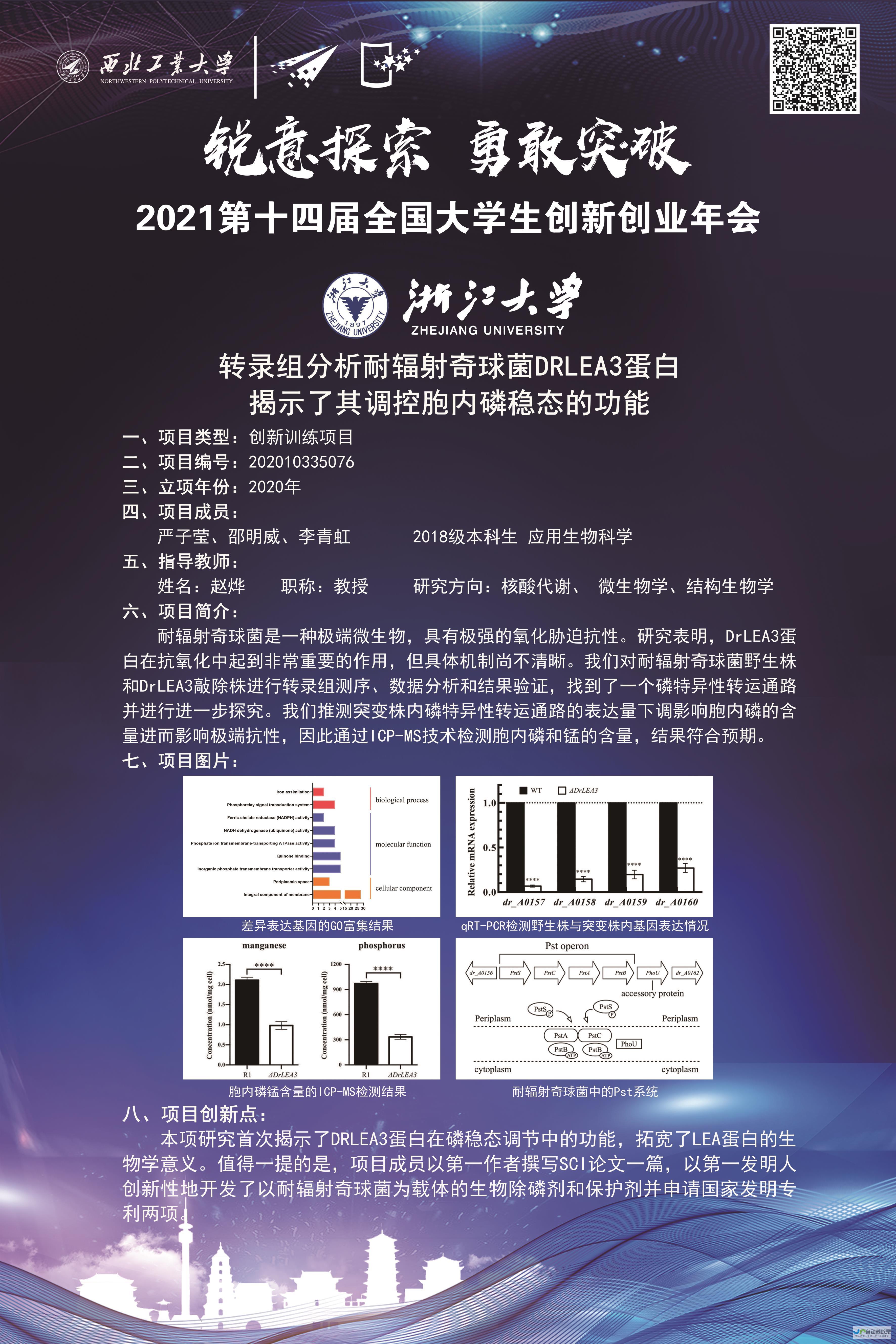 睿笛生物完成C轮融资