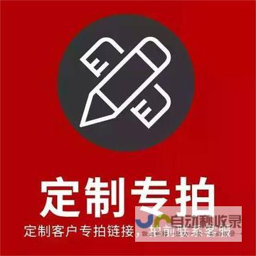 专属定制 引领智能电动汽车新潮流