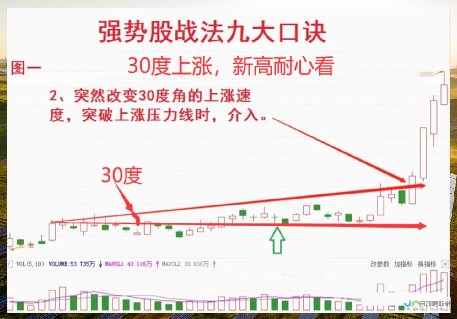 奶茶第三股出世