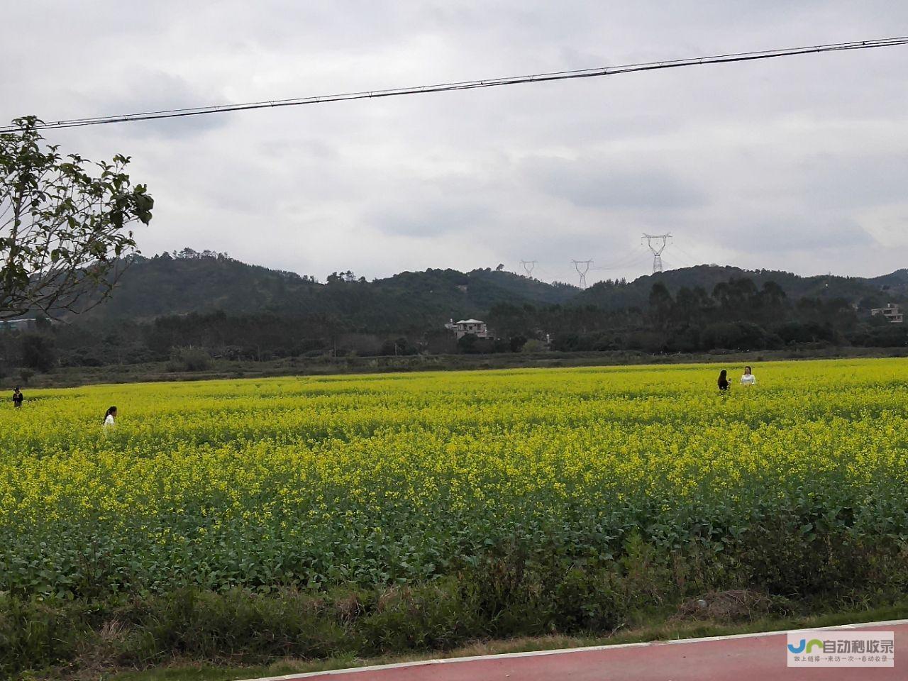 田园迎来新一轮生产热潮