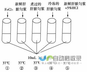 几大争议热点引发热议