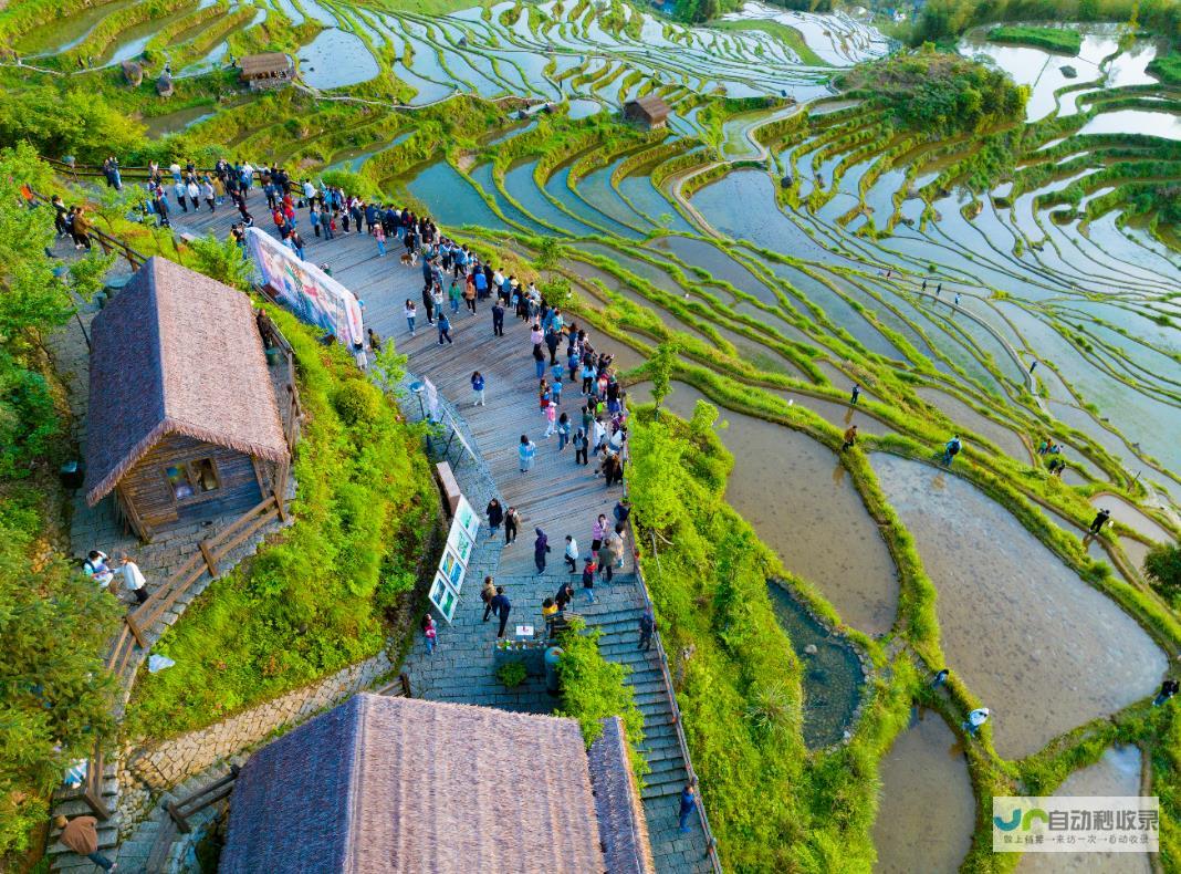 一 城市梯田景观成为上海新地标