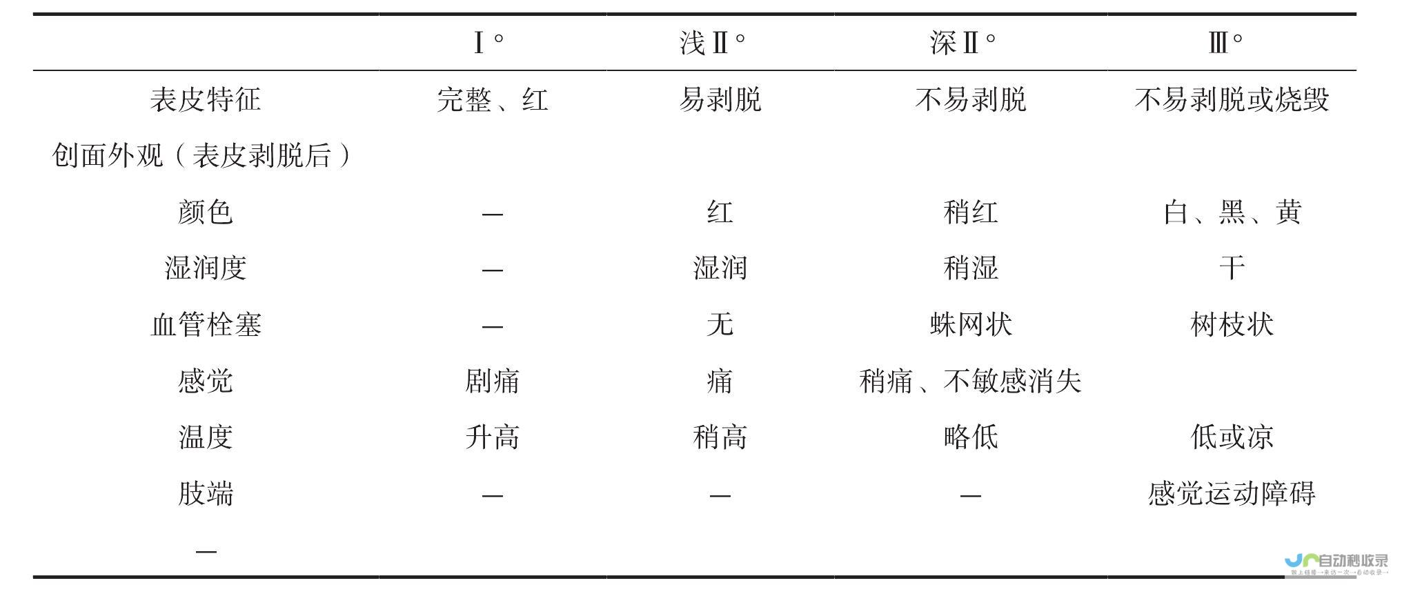 新政府