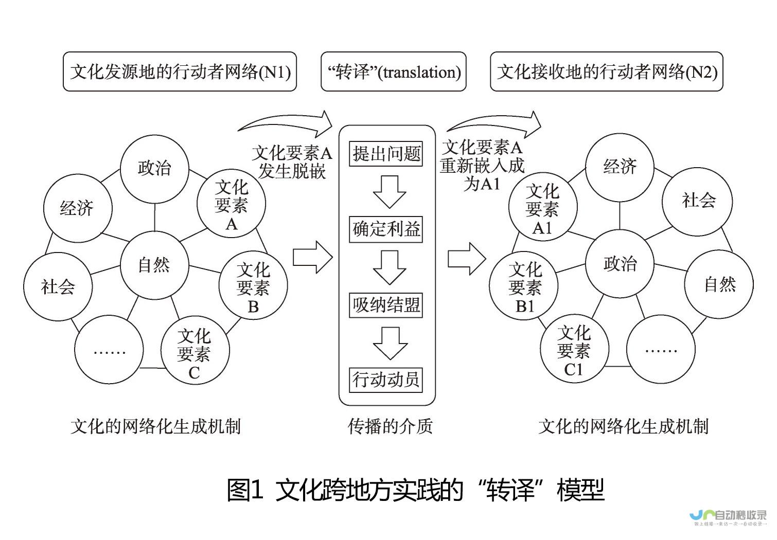 文化现象深度解析