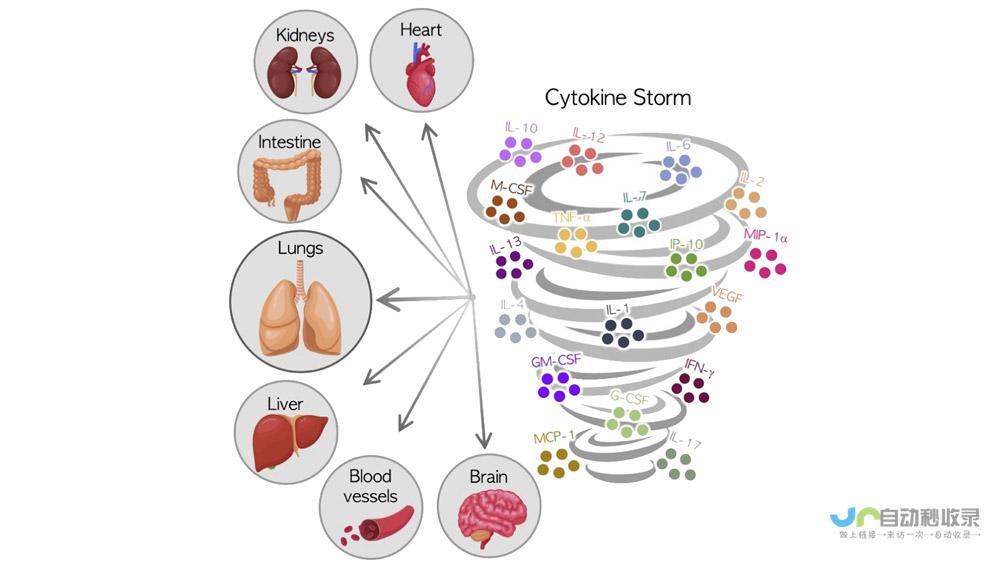 揭秘免疫风暴机制