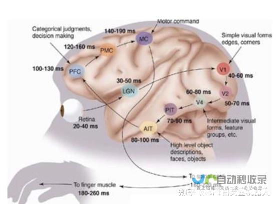 投资政策备忘录