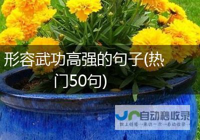 展示强大的武打动作模拟能力 宇树科技G1机器人算法升级