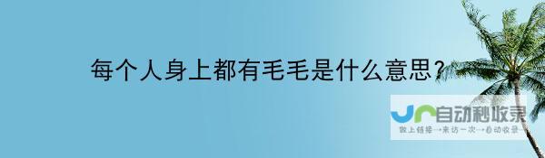 但落地仍需等待 特斯拉FSD即将来临