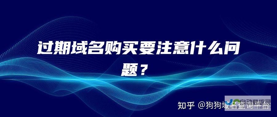 抢注过期域名 策略 风险与收益分析