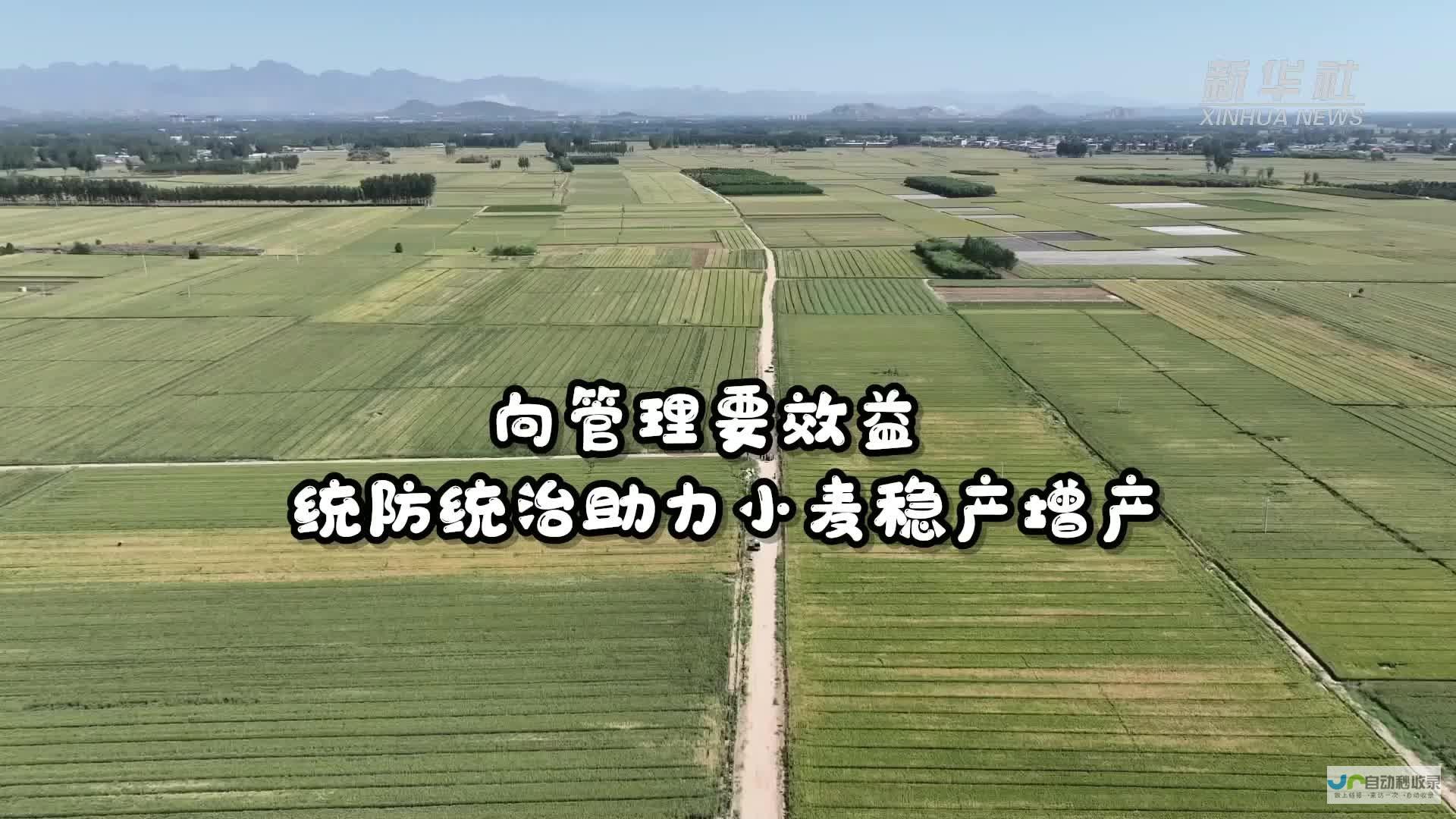 加强本土生产研发实力