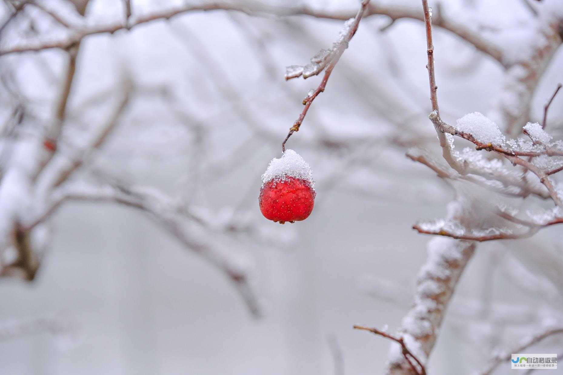 大雪