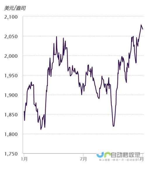 金价动态波动 快速洞悉市场趋势的黄金大震荡