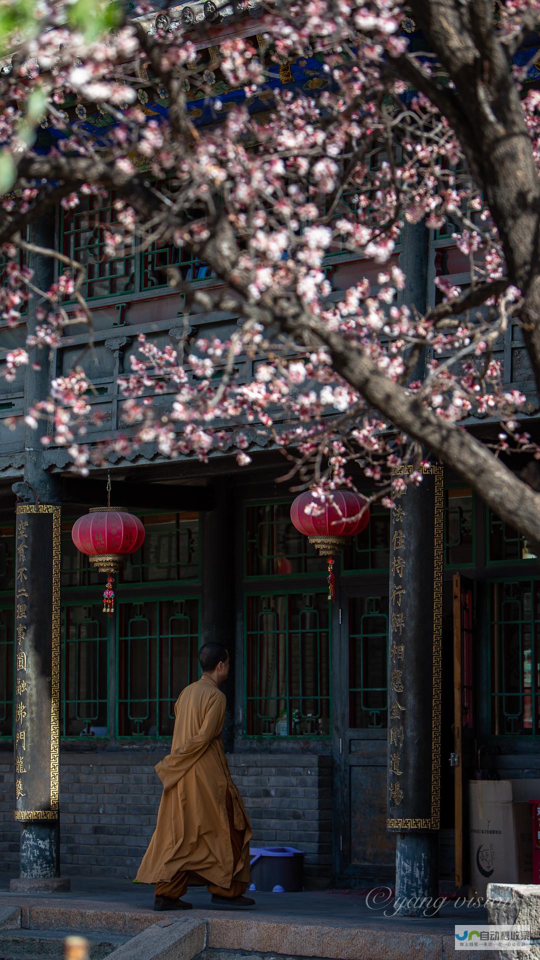 奇才全面开花 破局之战