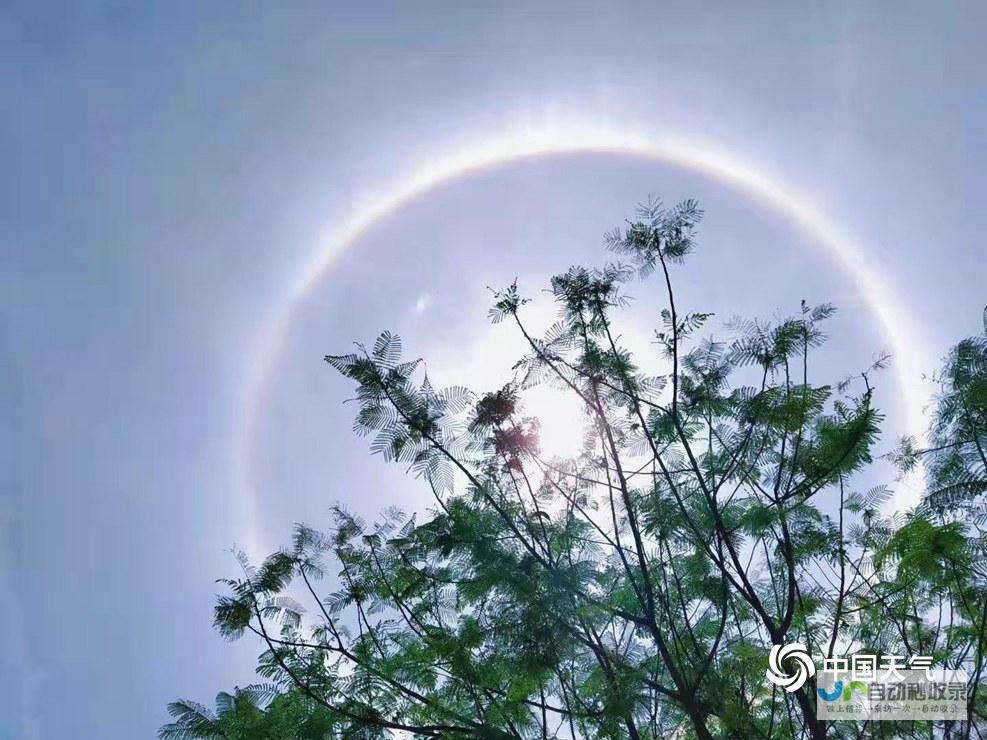 太阳晃眼导致视线模糊