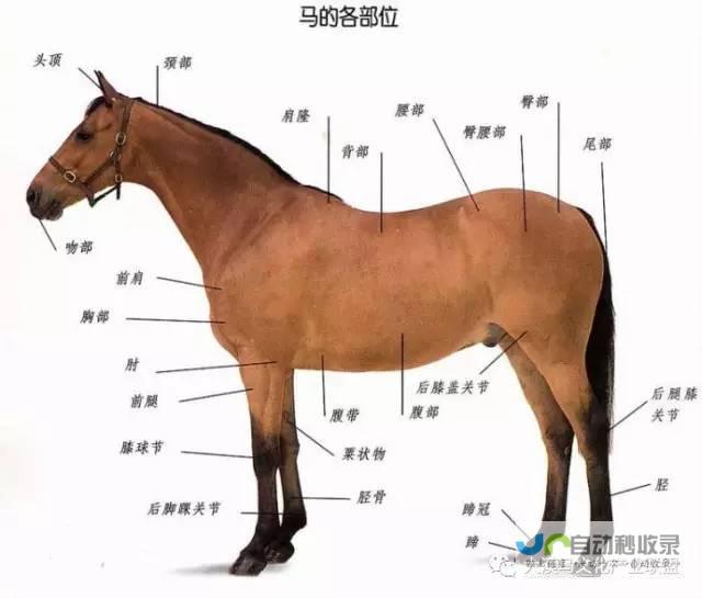 全方位了解马林加天气