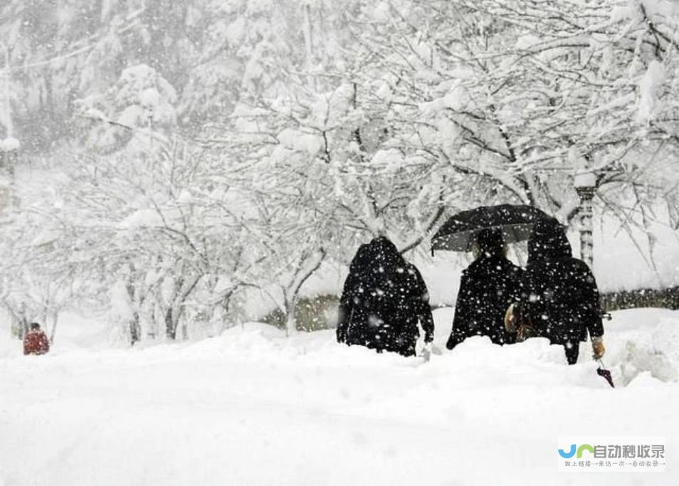 极端雨雪 今年来最复杂激烈天气持续上演 回南天 雷暴冰雹 暴降20℃