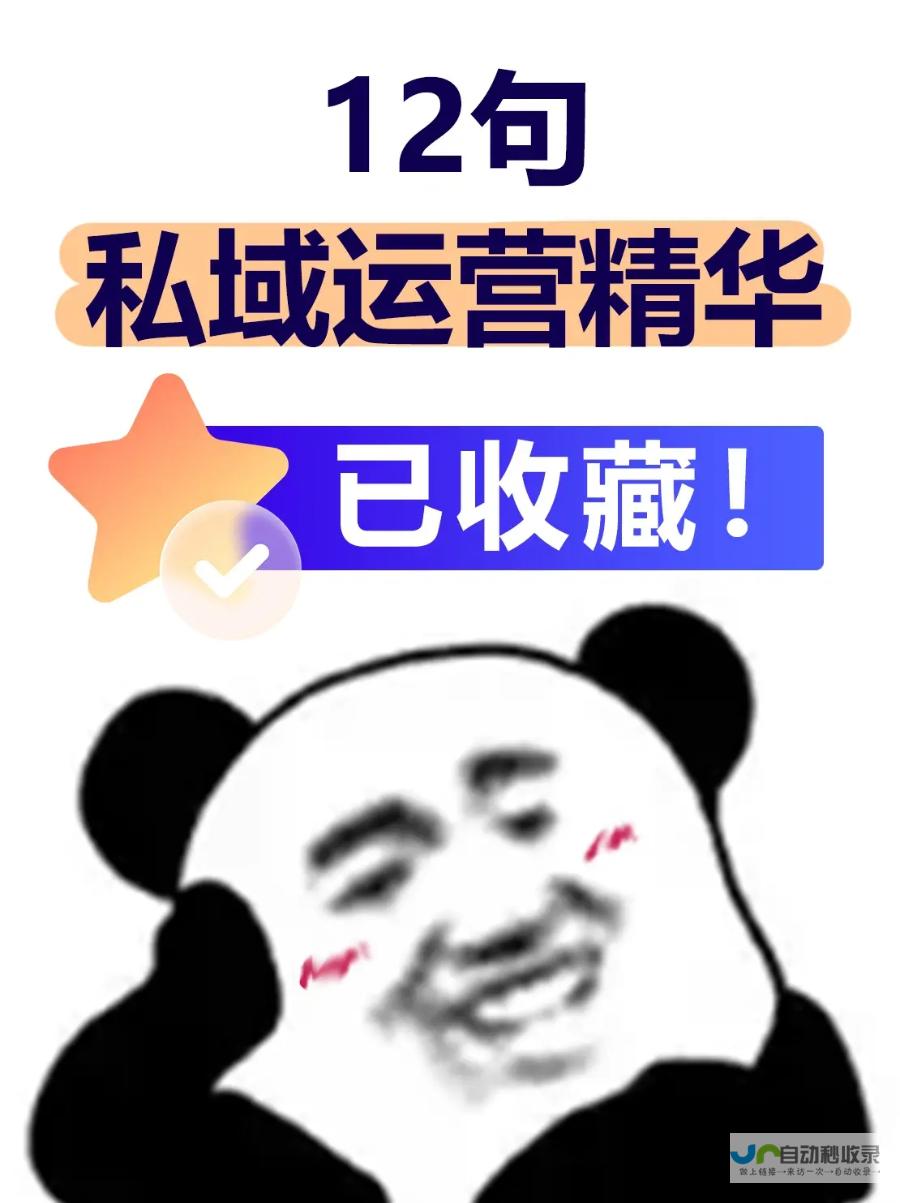 维罗纳队