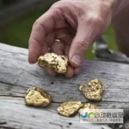 探寻黄金迁徙背后不为人知的秘密