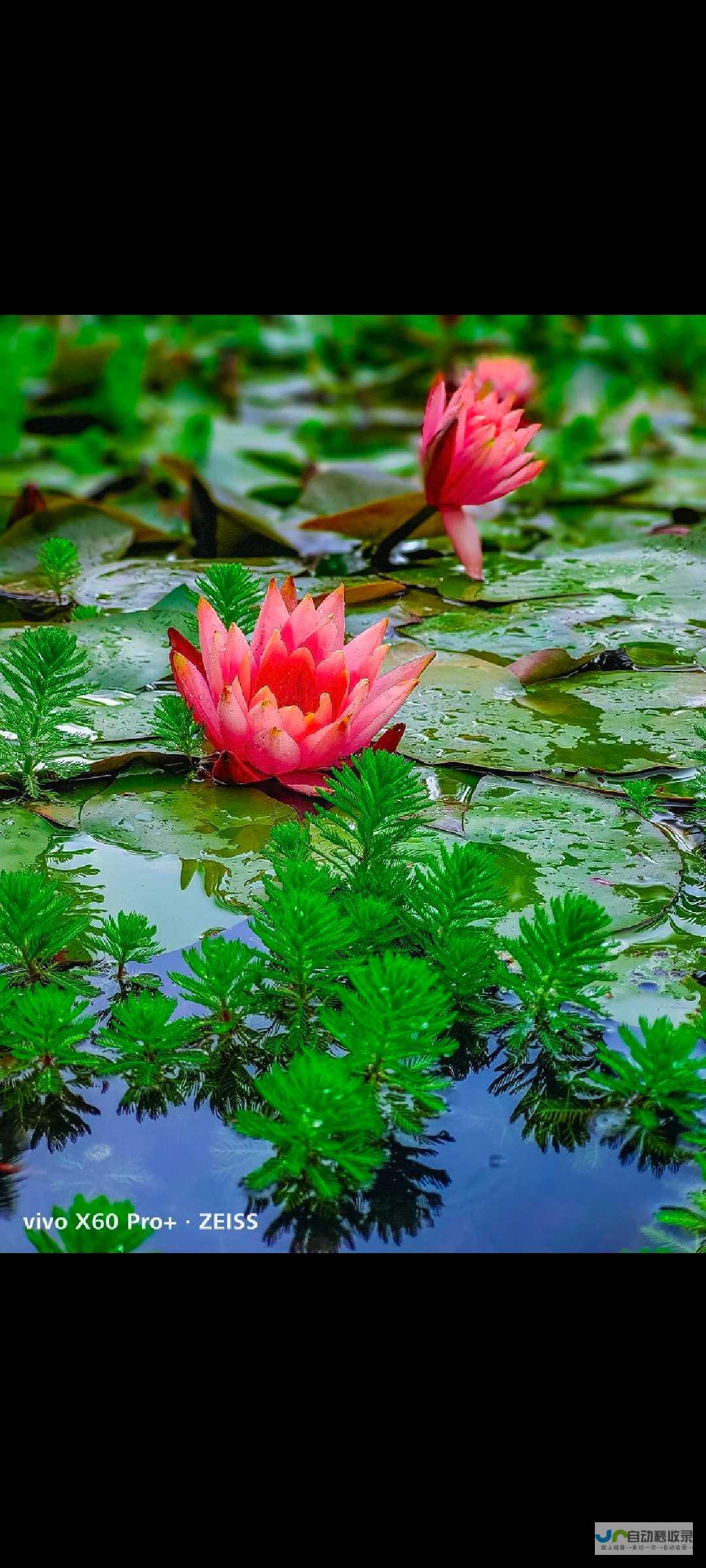 自然界焕发勃勃生机 惊蛰时节